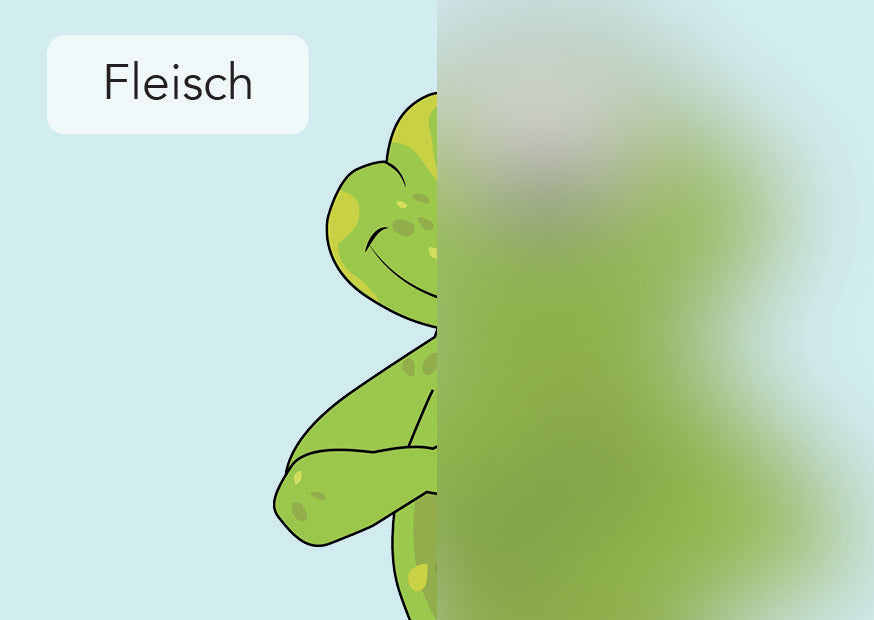 Fleisch | IGuKS - Gebärde
