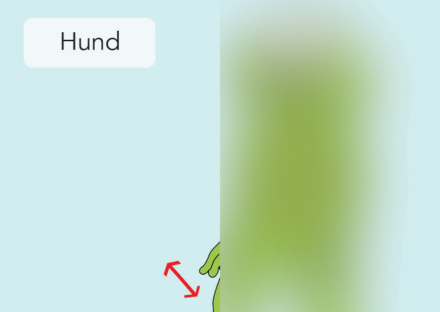 Hund | IGuKS - Gebärde
