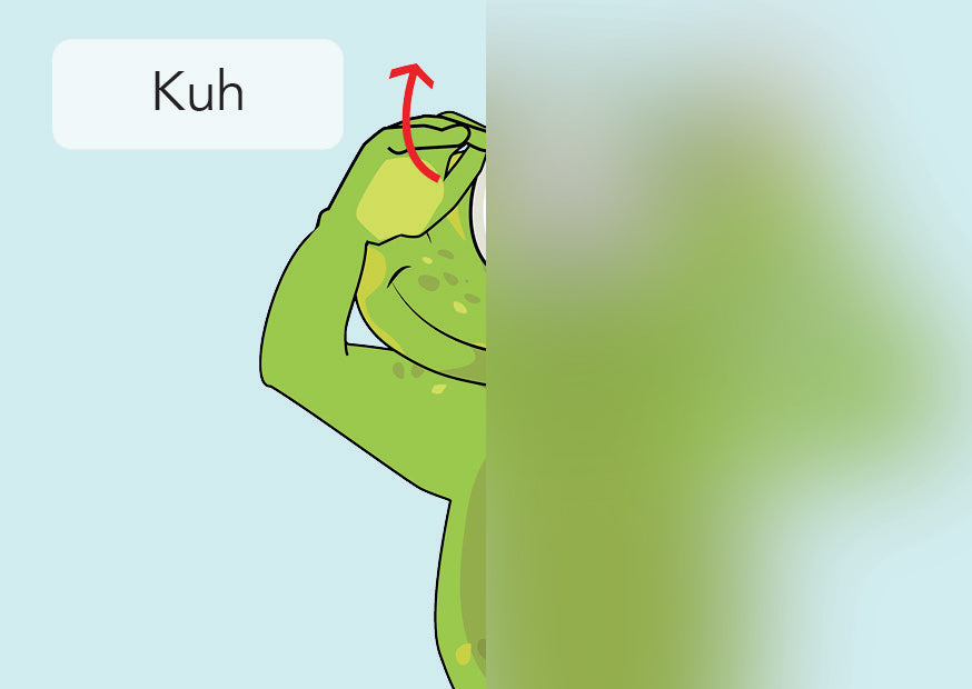 Kuh | IGuKS - Gebärde