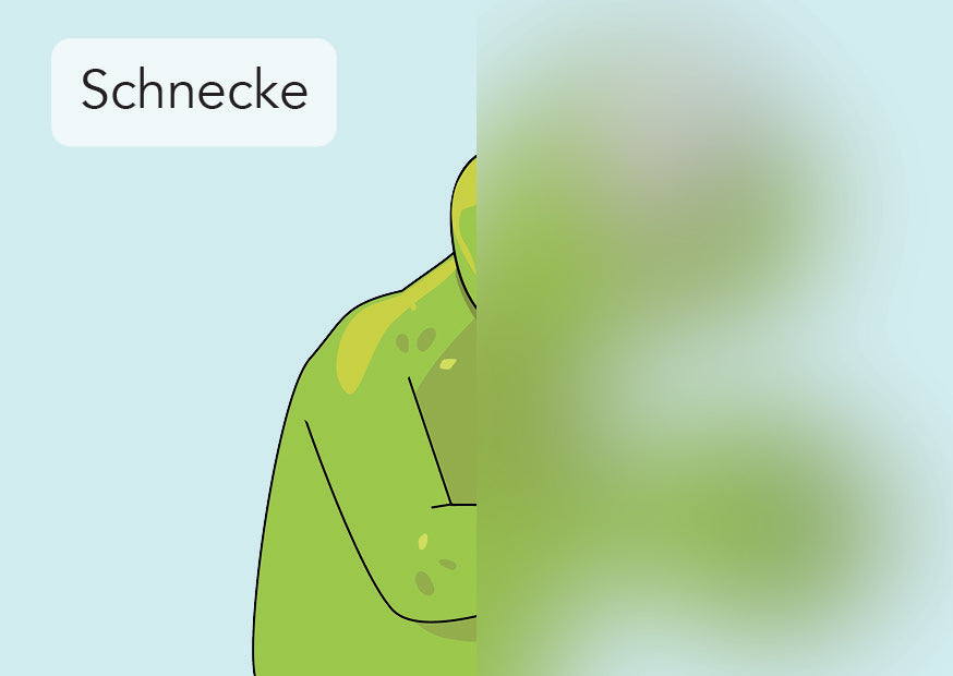 Schnecke | IGuKS - Gebärde