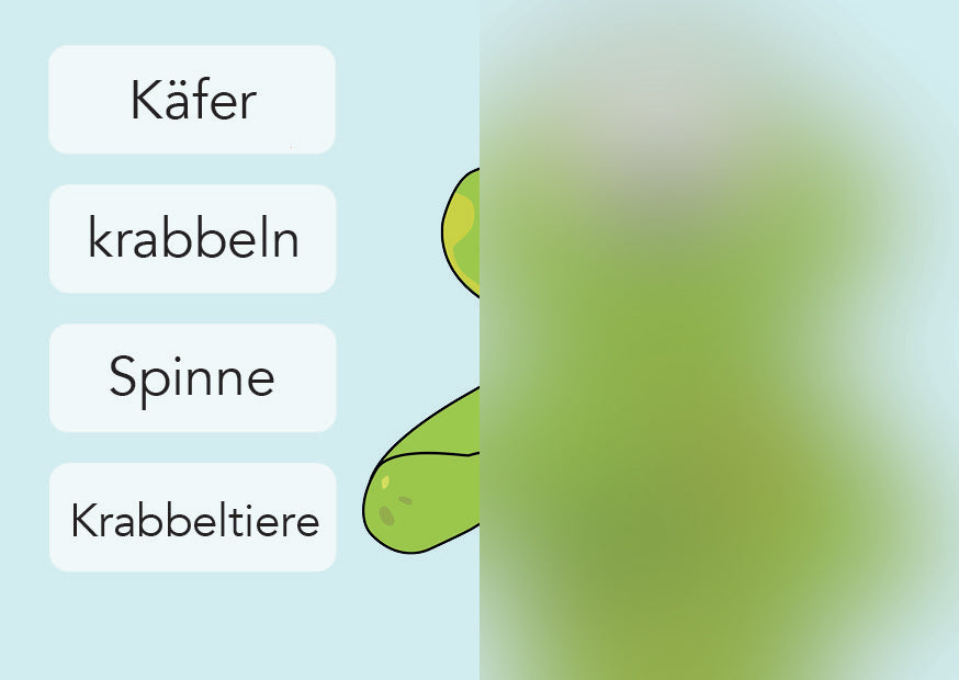 Käfer / krabbeln / Spinne / Krabbeltiere | IGuKS - Gebärde