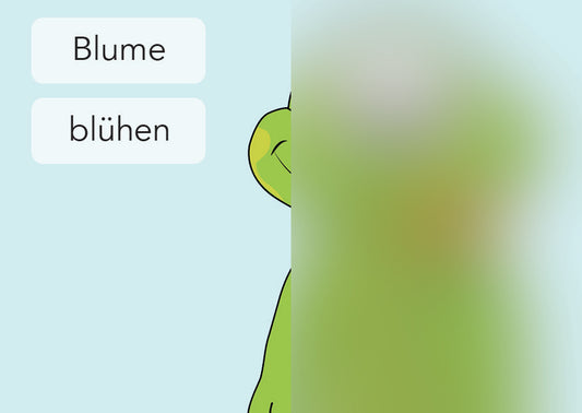 Blume / Blüte | IGuKS - Gebärde