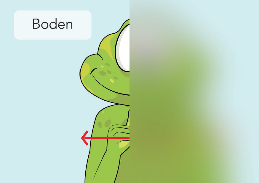 Boden | IGuKS - Gebärde