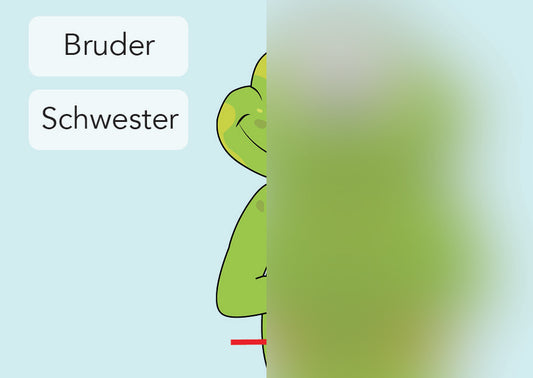 Bruder / Schwester | IGuKS - Gebärde