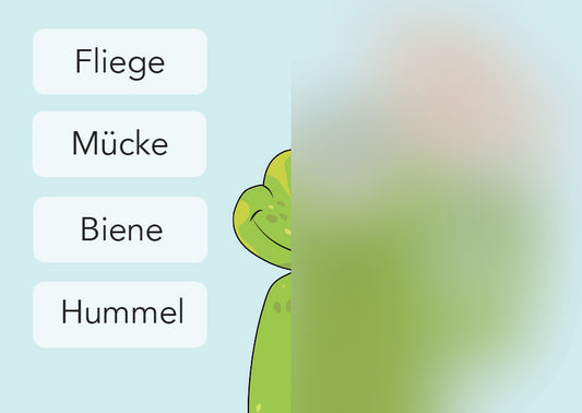 Fliege / Mücke / Biene / Hummel | IGuKS - Gebärde