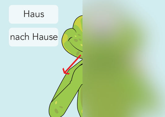 Haus / nach Hause | IGuKS - Gebärde