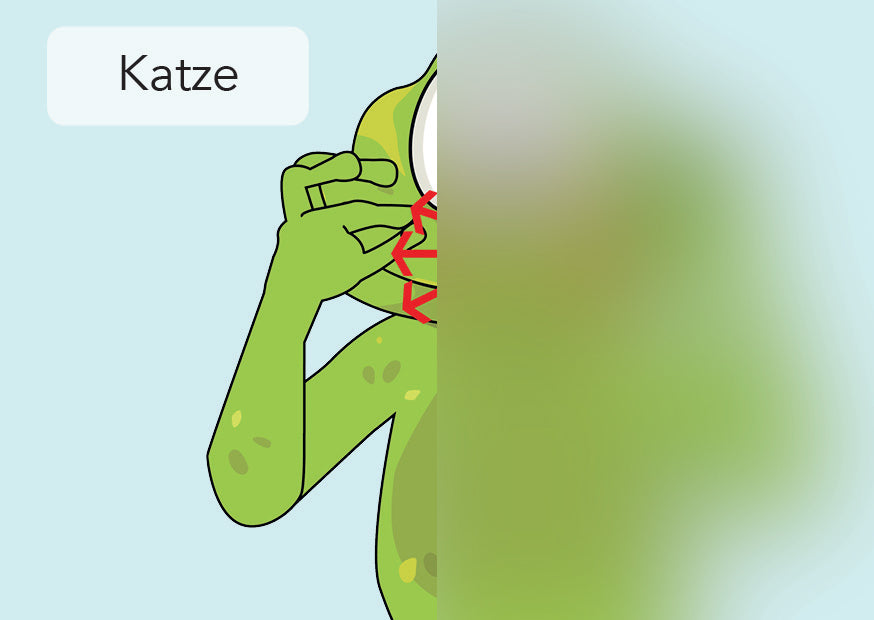 Katze | IGuKS - Gebärde