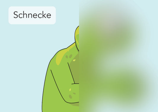Schnecke | IGuKS - Gebärde