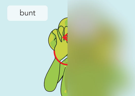 bunt | IGuKS - Gebärde